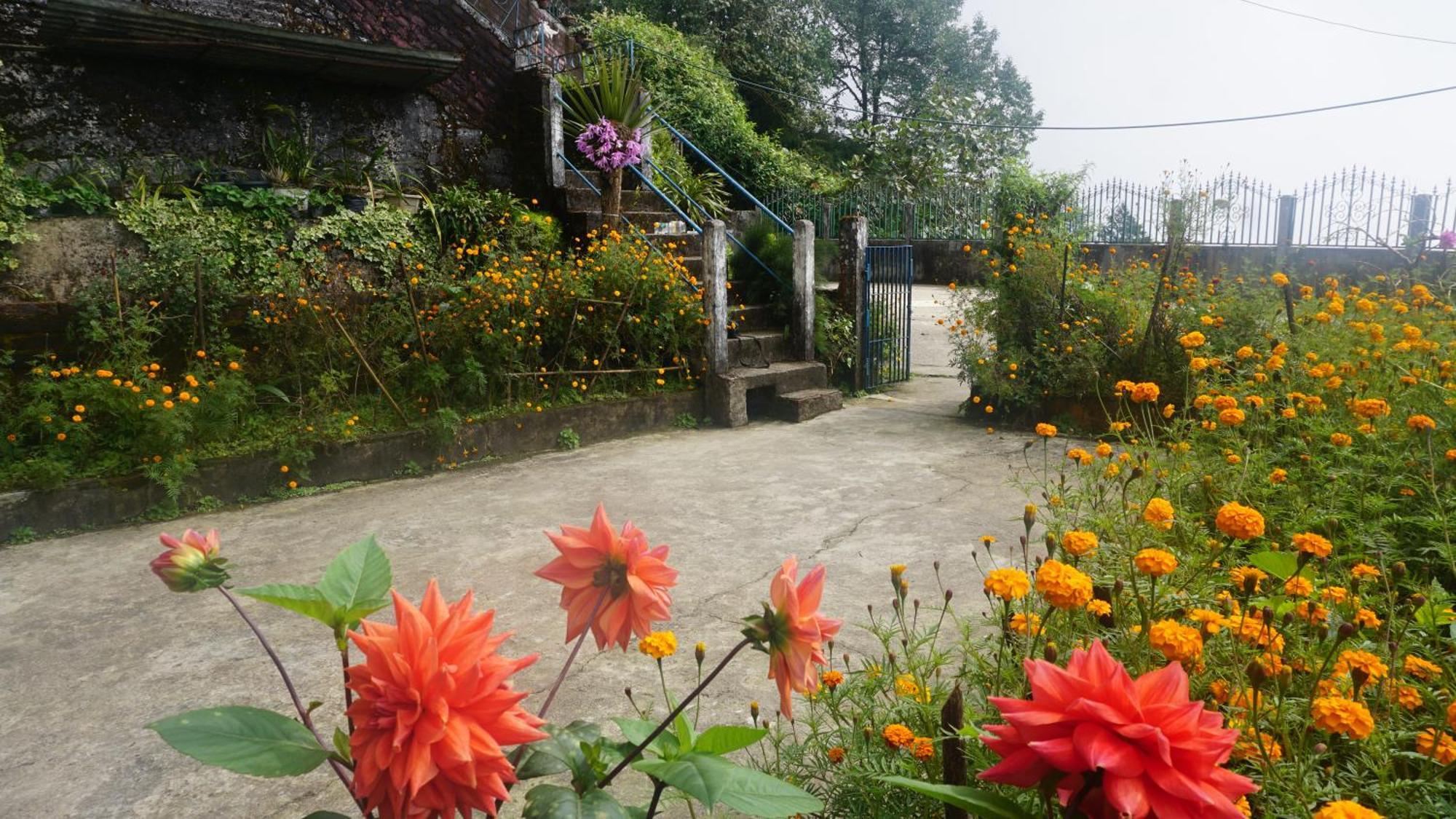Tranquil Retreat Homestay Ghum Exterior photo